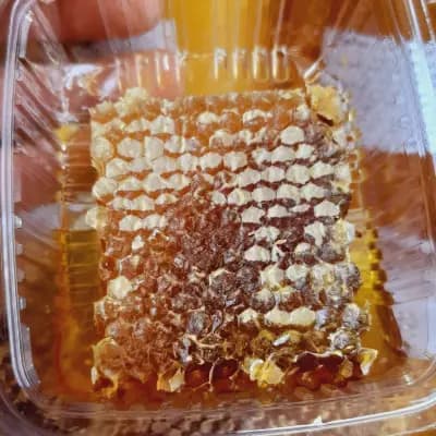 Мед и пчелни продукти Иван Гешев ( Organic Raw Honey)