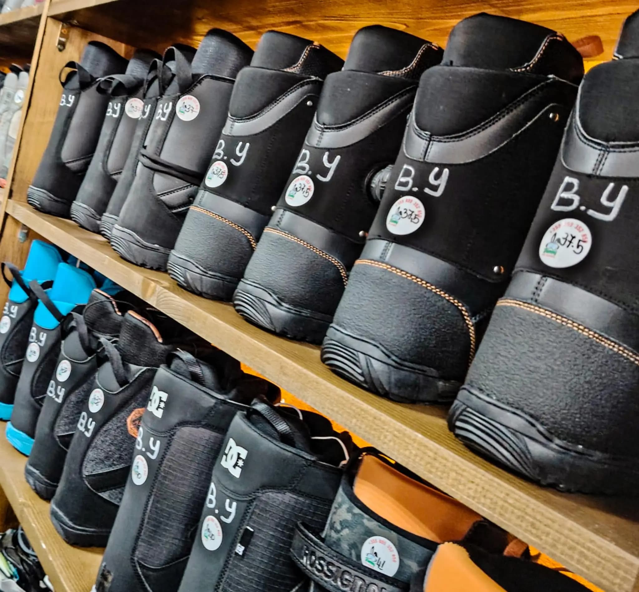 Bunny ski school Pamporovo