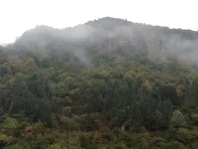 ССМВР УЦ "Орел"
