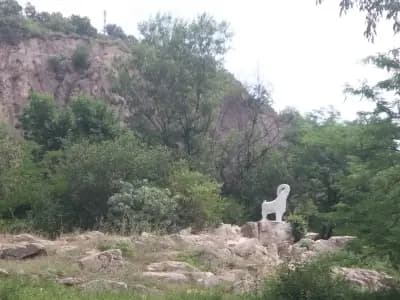 Уроци по китара Пловдив | Школа | Учител по китара - Тракия