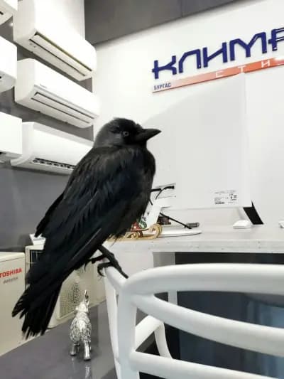 КЛИМА СТИЛ БУРГАС