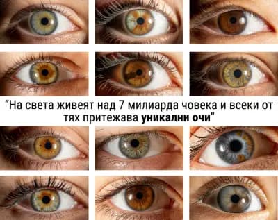 IRIS STUDIO - Paradise Center, Ирисова фотография