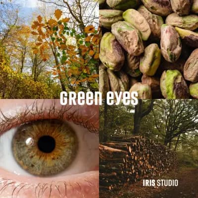 IRIS STUDIO - Paradise Center, Ирисова фотография