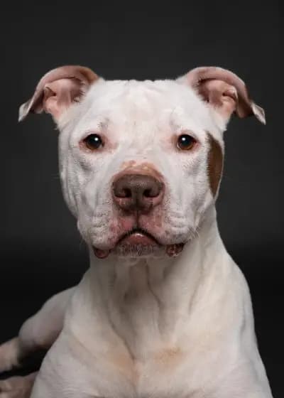 Best Friends Photography