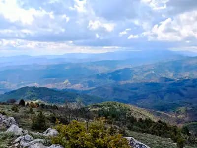 Wild Horizons