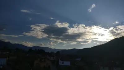Forest View Apartment Govedartsi