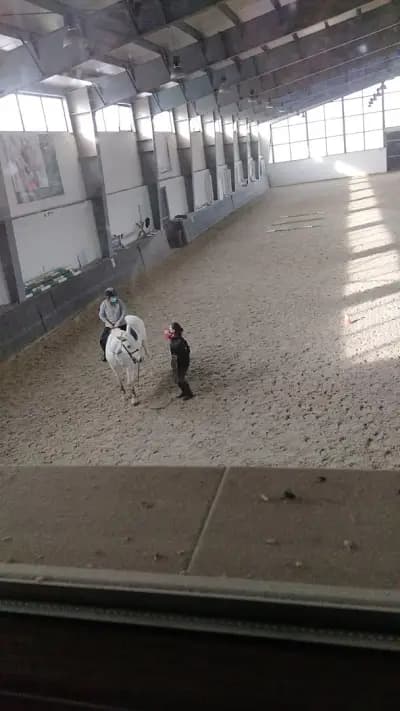 Ниеса