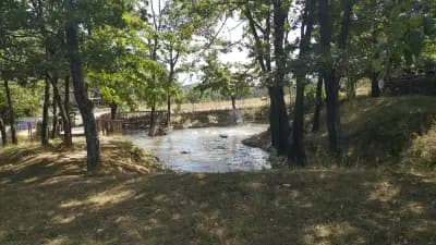 ЕКО СЕЛИЩЕ СИНИЯ ВИР