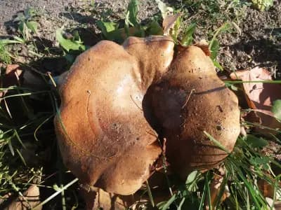 Конно спортна база Хан Аспарух