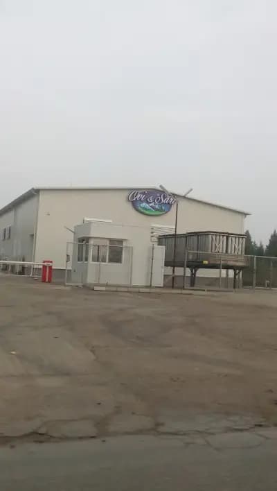 ОВИ И САРИ