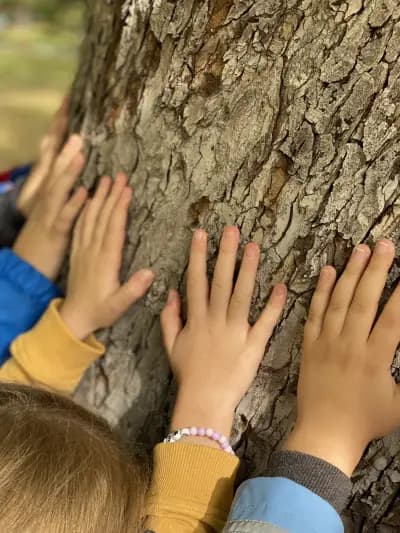 Монтесори занималня “Детски Рай” гр.Пловдив