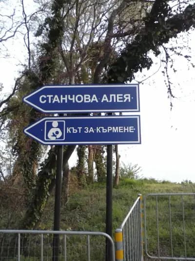 Карин дом