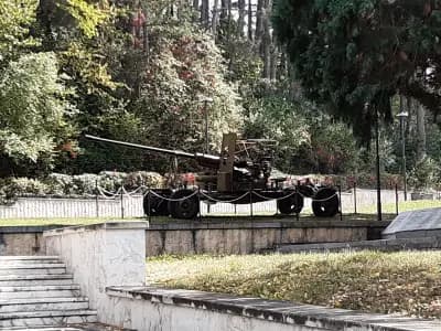 Община Годеч