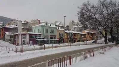 Фикосота фууд