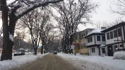 Фикосота фууд