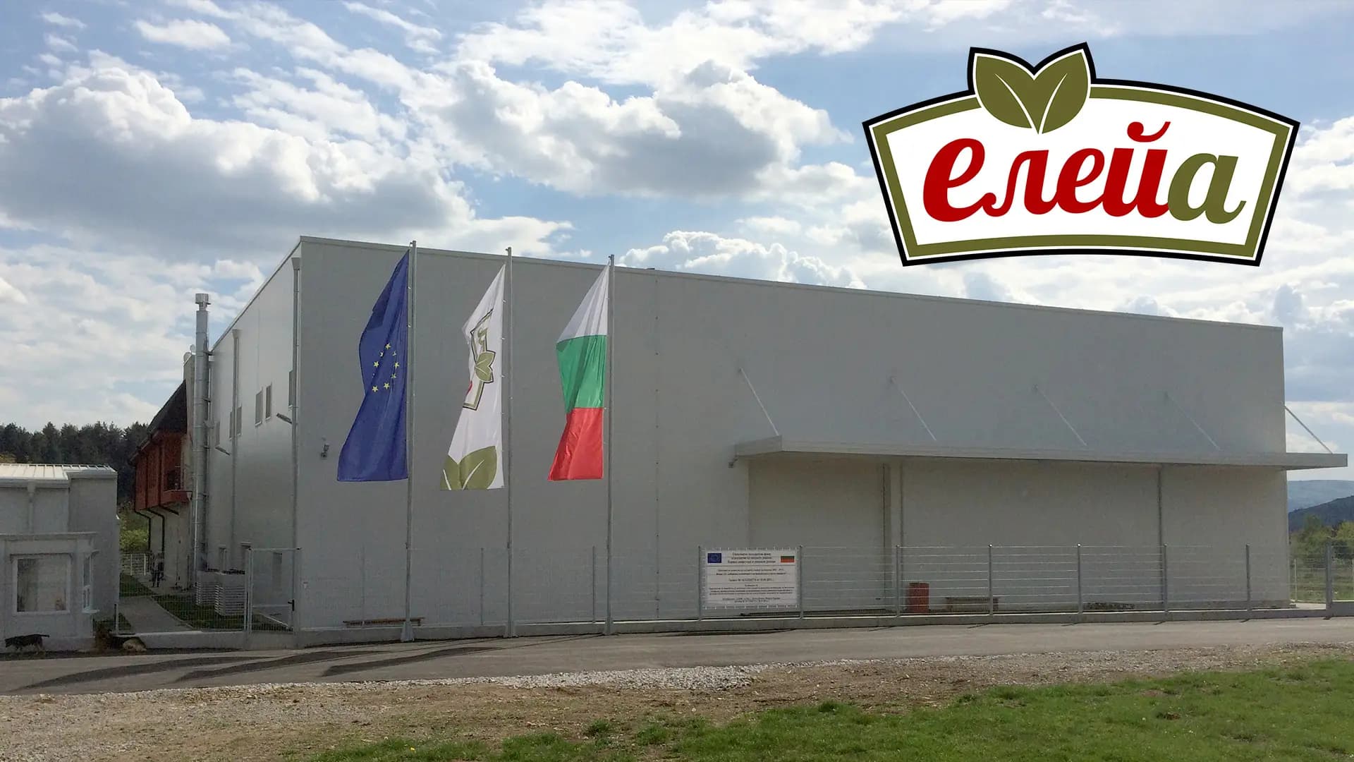 Елейа ЕООД