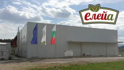Елейа ЕООД