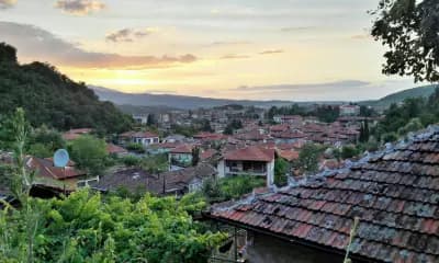 Братя Пашкулеви ООД