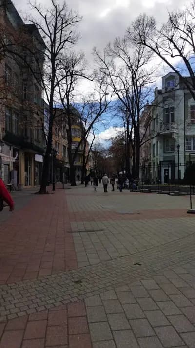 Сатео ООД