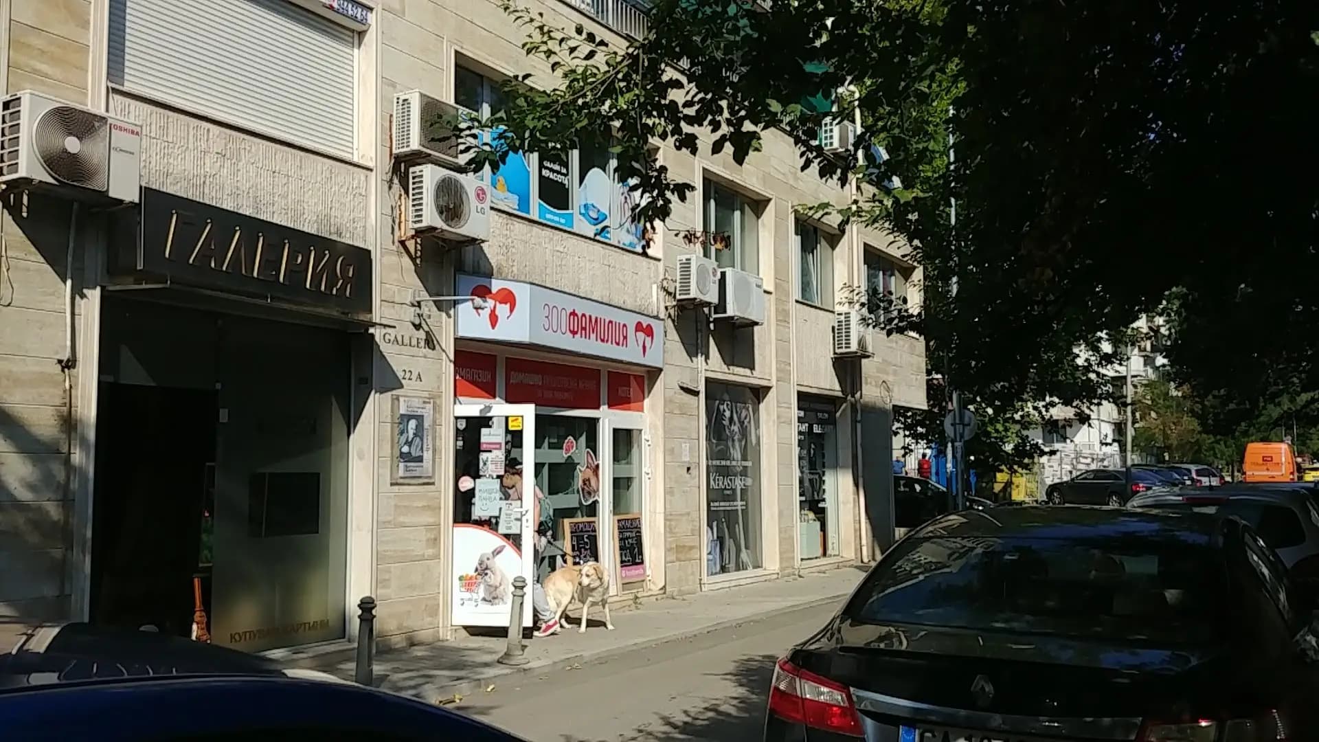 Ванина Арт