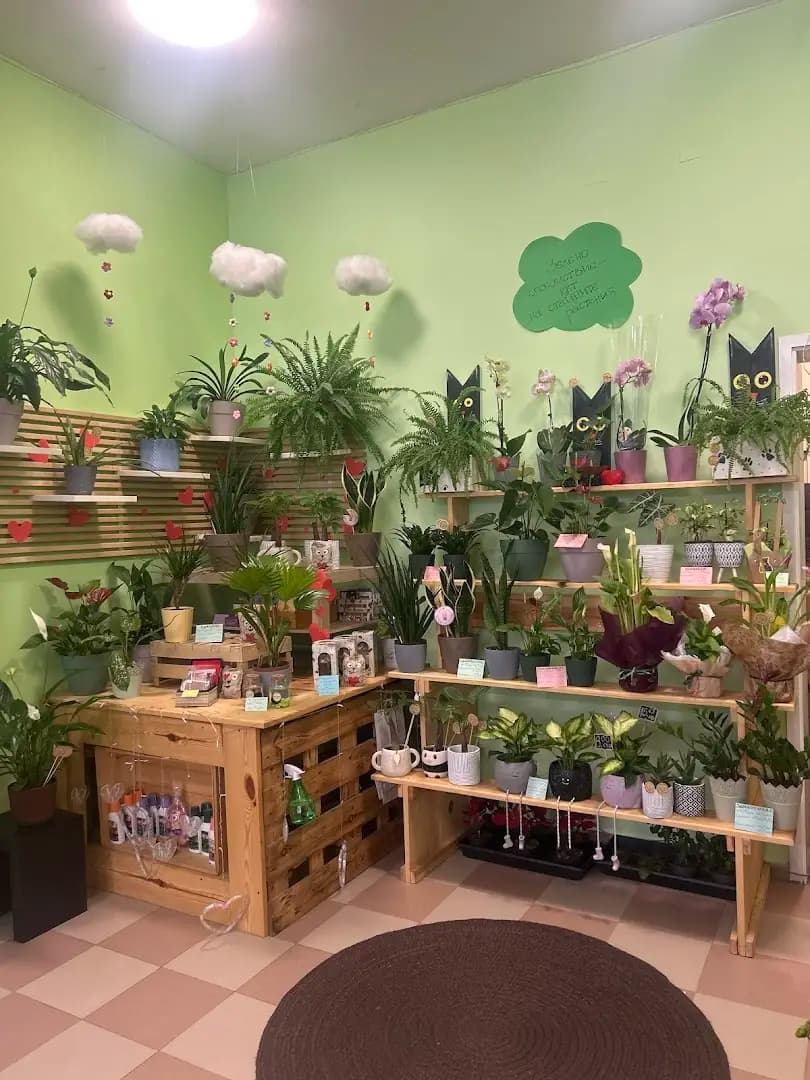 Vanini's Bloom Bar - Магазин за цветя, сувенири и балони