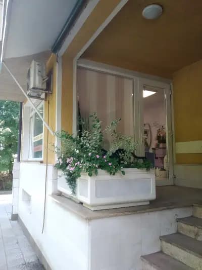 Артист Студио,Марин Маринов