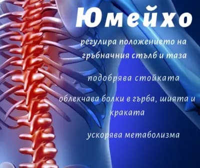 ЮМЕЙХО ЦЕНТЪР РУСЕ