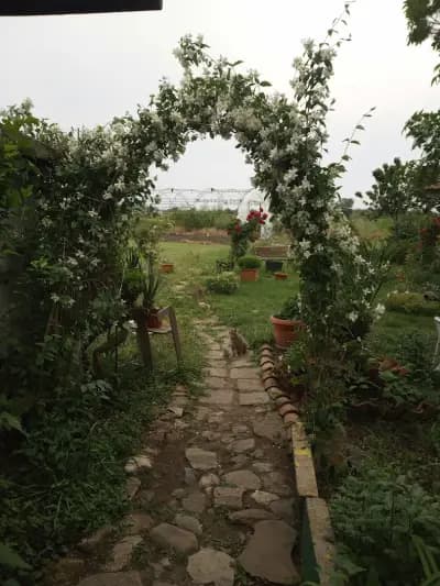 Таня