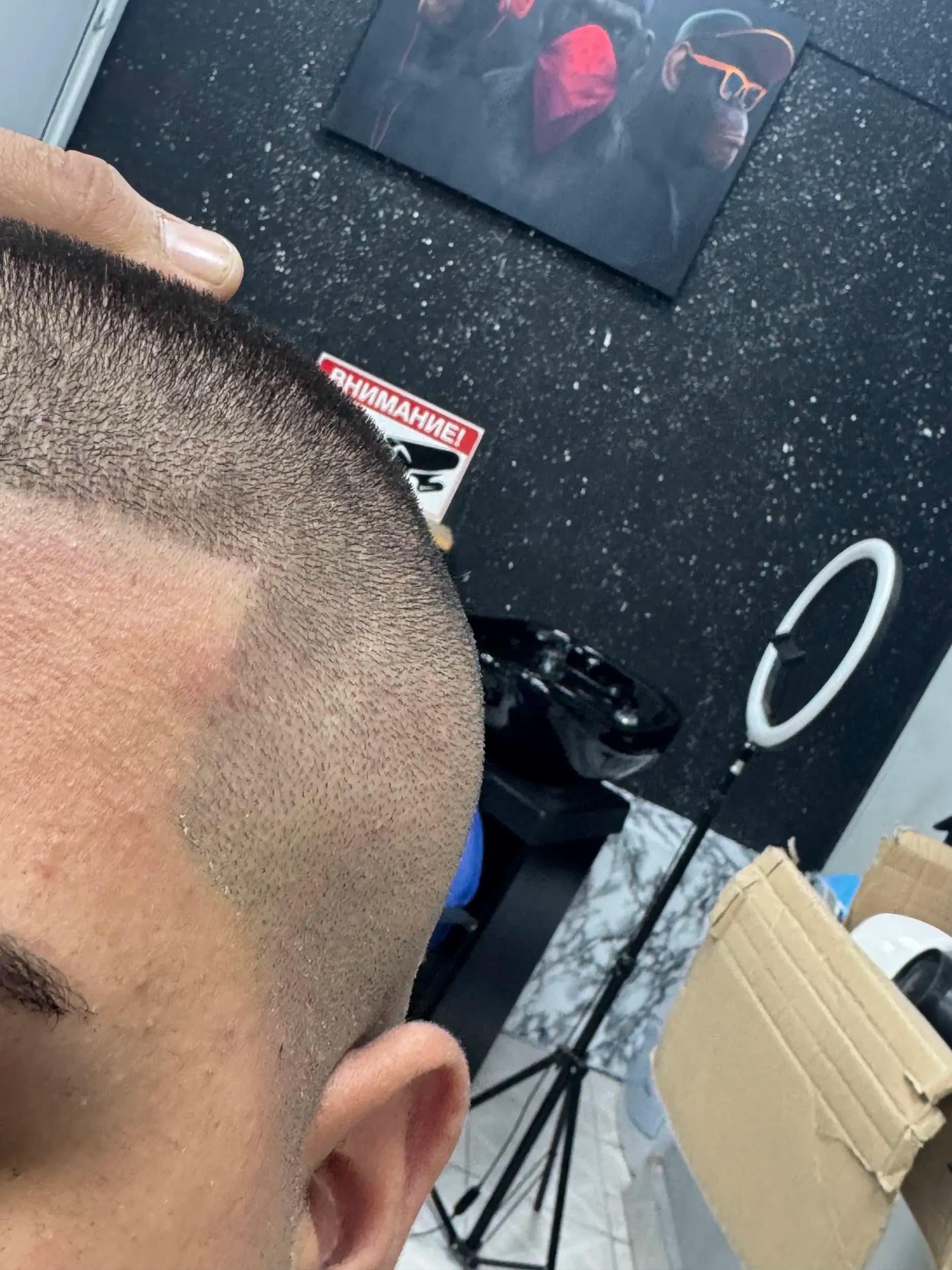 Бръснарница - Павлин Иванов