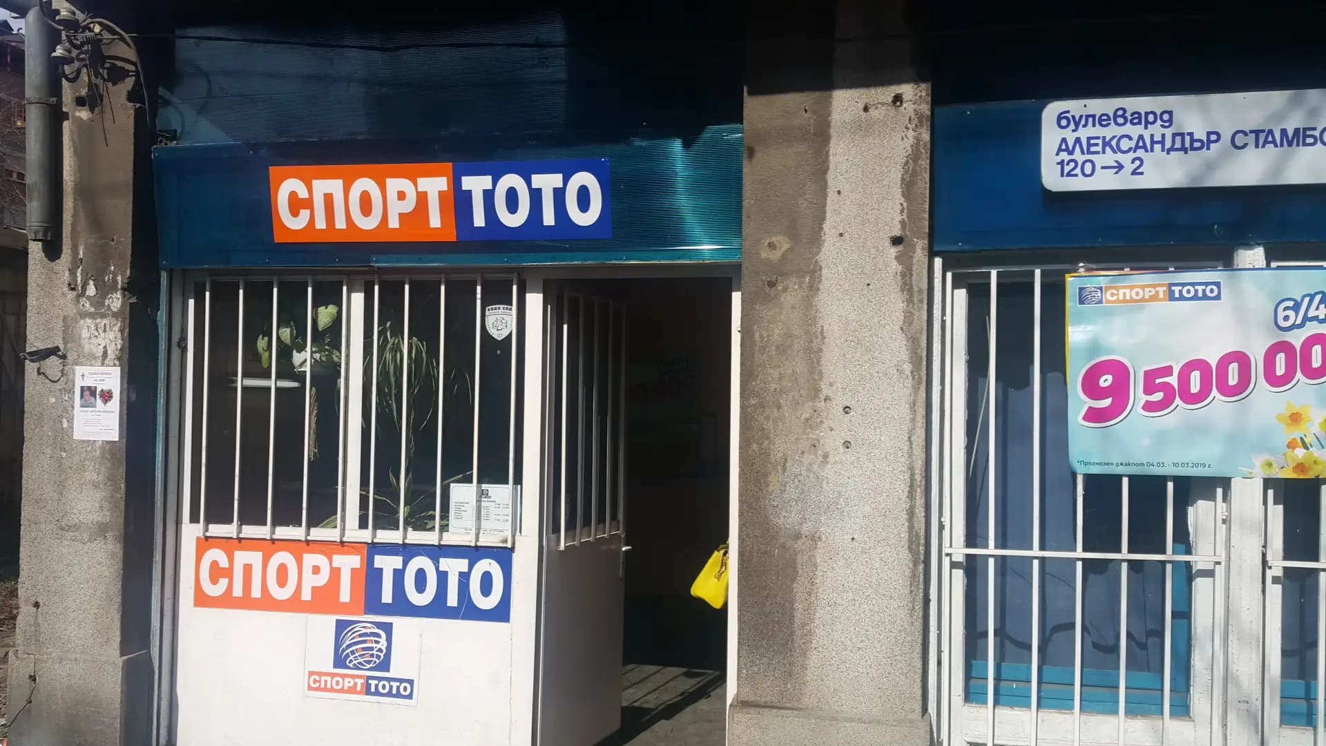 Спорт тото