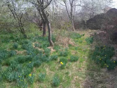 Змей Горянин-косене на трева и почистване на градини.