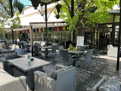 Art bar & dinner