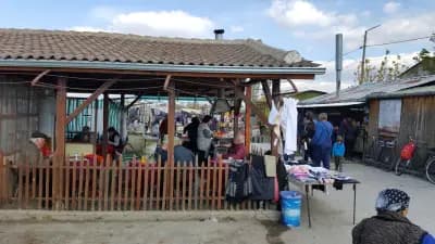 Общински Пазар Калояново