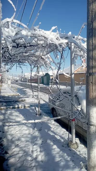 Общински Пазар Калояново