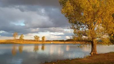 Язовир Съединение Бургас - Спортен Риболов