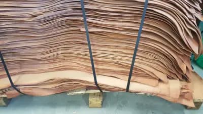 СУПЕРКОЖА.БГ