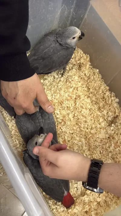 Зоомагазин Жако-Бургас