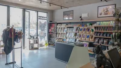 Different Pet Shop and Grooming/ Различният зоомагазин и груминг