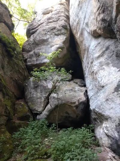 Кирека