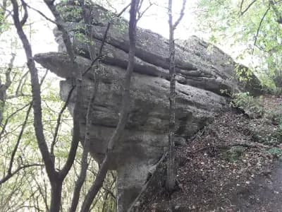 Кирека