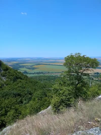 Кирека