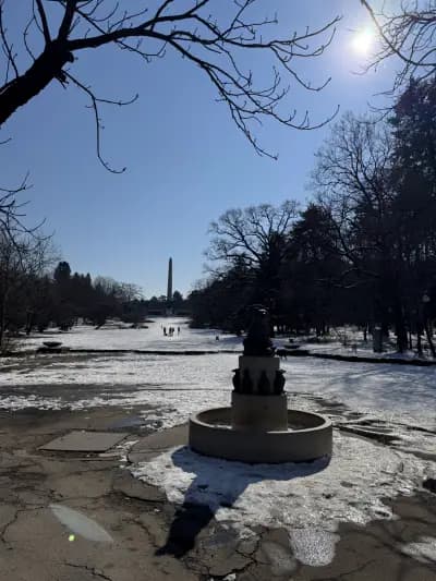 Езерото с лилиите