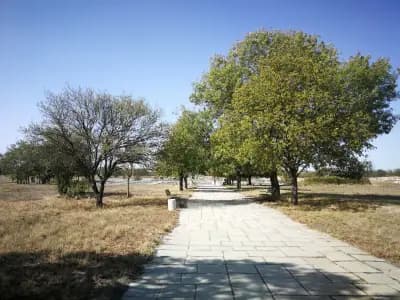 Източната порта