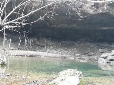 Waterfall Jumper