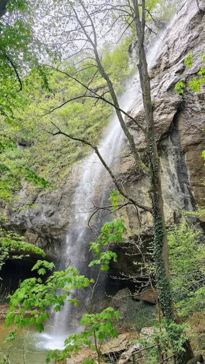 Waterfall Jumper