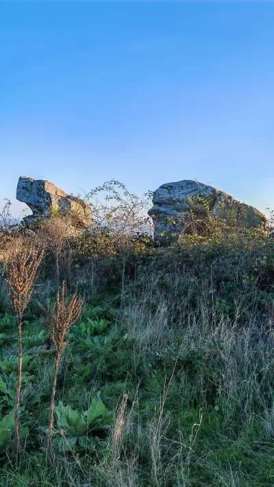 Природна забележителност "Добровански гъби"