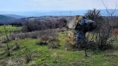 Природна забележителност "Добровански гъби"