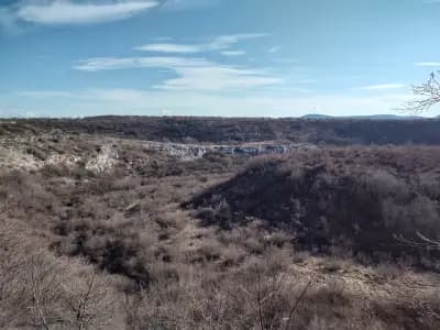 Голямата канара (Седемте одаи)