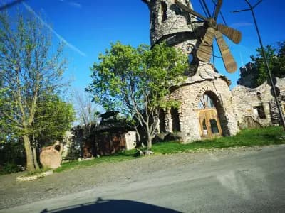 Луковит
