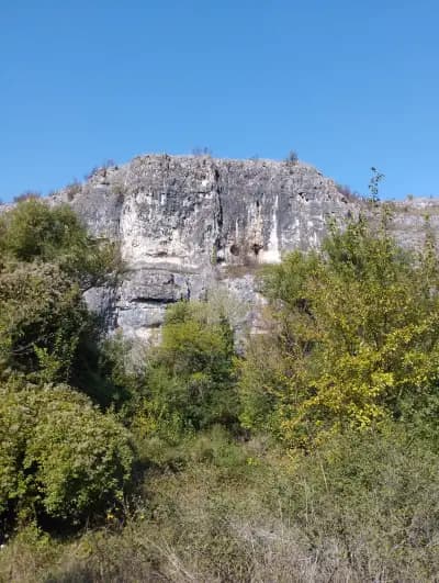 Луковит